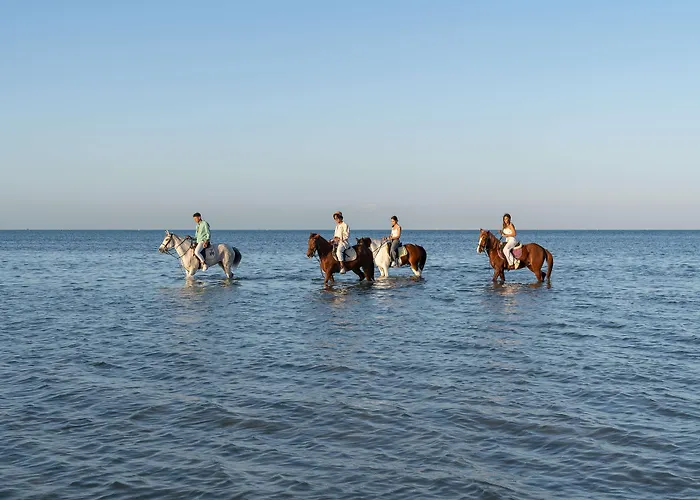Ancient Sands Golf And Residences Üdülőközpont 5*